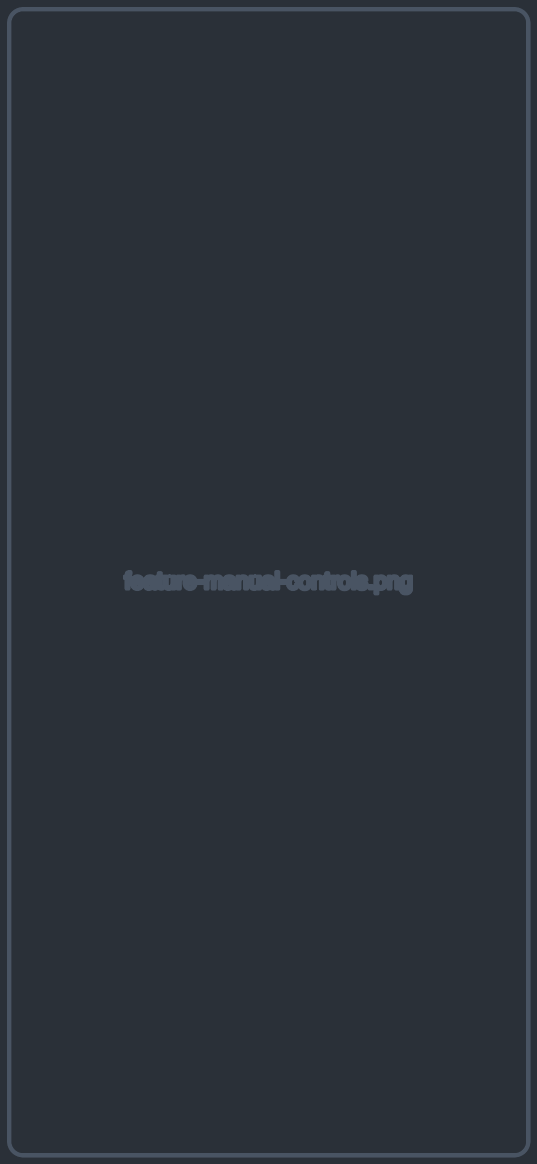 Manual controls placeholder