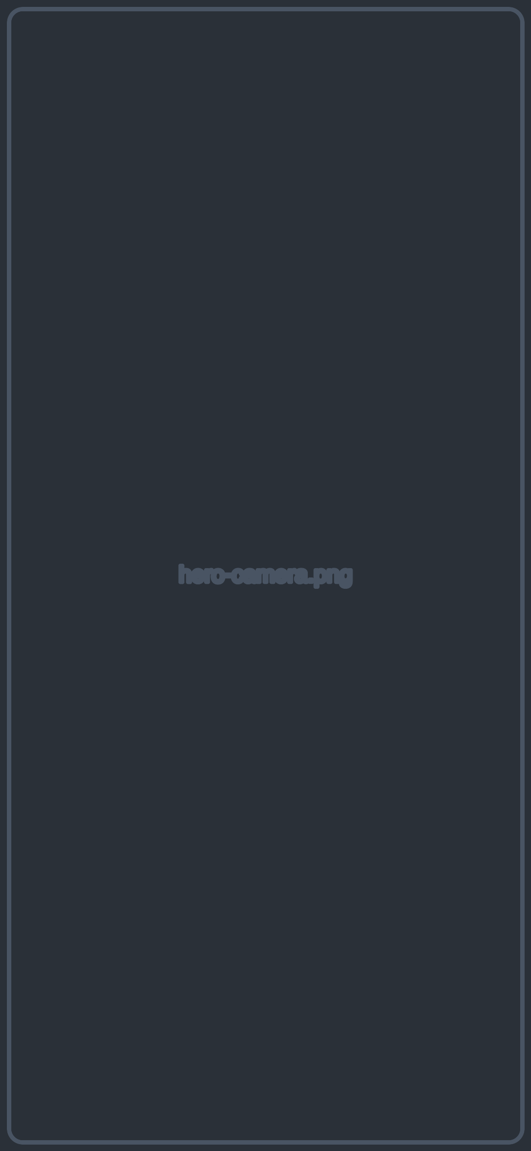 VisionCam camera preview placeholder